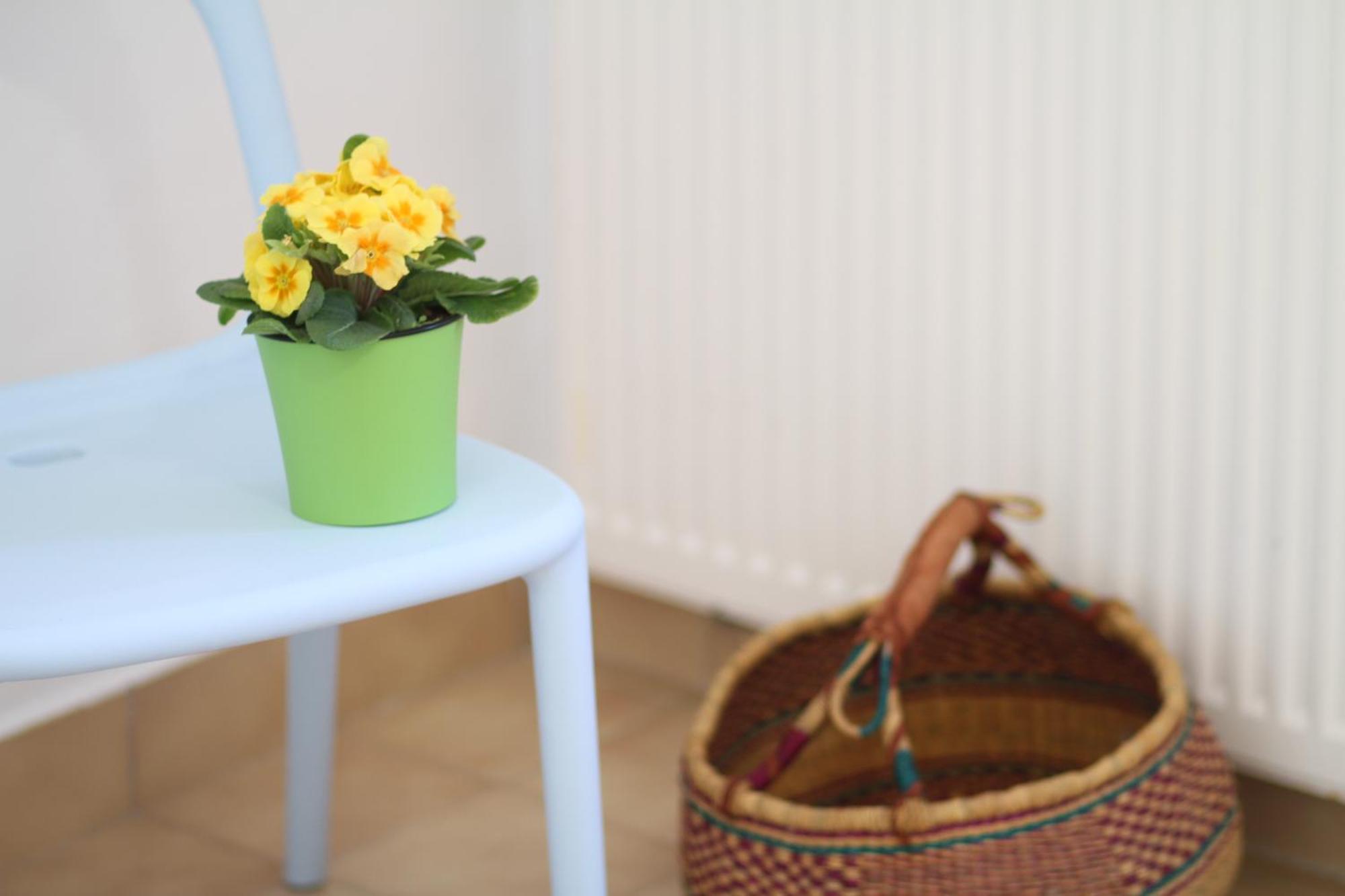 Apartament - Compartir Cadaqués Eksteriør bilde